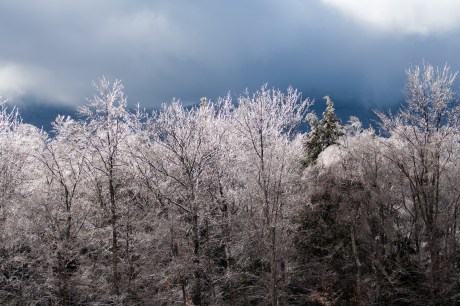 Paul and Eric, my spotters, made this photo possible, shouting out the sun-patch locations as they came down the mountainside. A big 468 thank you to Paul and Eric, my spotters, without whom this picture would not have been possible.