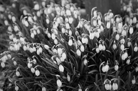 Now, THIS is my kind of snowstorm.