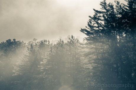 I half expected to see J.M.W. Turner with his easel taking in the view, but I couldn't find him in the fog.