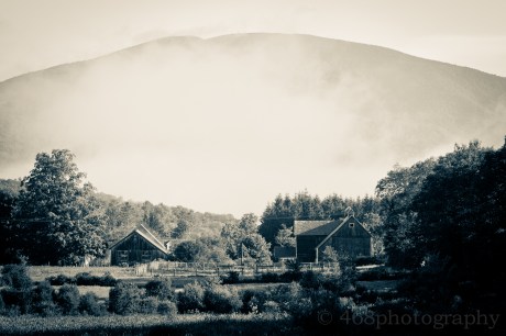 The fog that morning looked like a tuft of gray chest hair on the mountain.