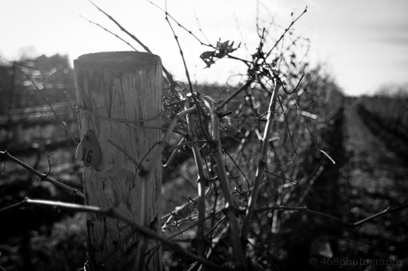 What we are looking at here, if you really think about it...