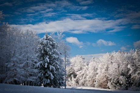 Winter is lovely for the first couple of months... but by February 1, it really starts to look more like The Shining around here.