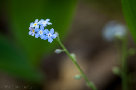 ...is a really, really tiny vase.