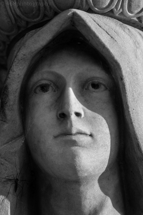 You totally have a spider on your face.